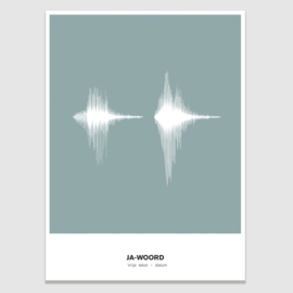 Soundwave poster - eigen geluid