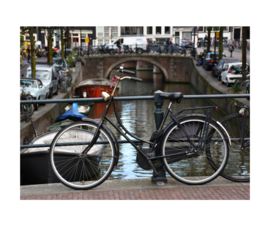 De leukste steden van Nederland
