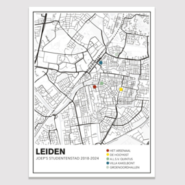 Stadskaart met meerdere pins