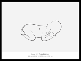 Poster met 1:1 babyschets  - horizontaal
