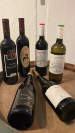 Proefdoos Castignano Maart 2025