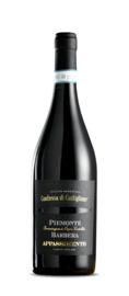 Barbera Appassimento - Contessa di Castiglione