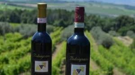 Rosso di Montalcino - Bolsignano