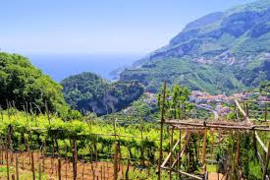 Aglianico Terra del Varo 2020 doc - Cavalier Pepe