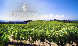 Chianti Classico - Ormanni