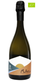 Spumante Brut Maltempo -  Tenuta dell`Ugolino