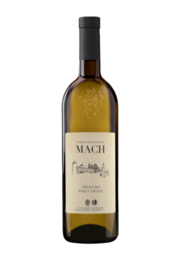 Pinot Grigio Trentino - Edmund Mach