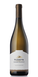 Sauvignon  Colio doc - Polencic