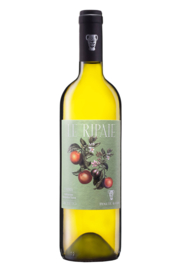 Grechetto  Umbria "Le Ripaie" igt - Tenute Baldo