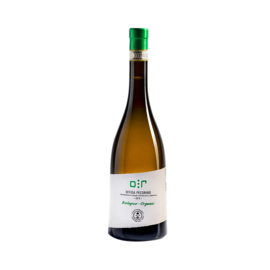 Pecorino Offida docg biologico - Castignano