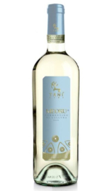 Vermentino di Gallara "Meoru "- Canta Tani