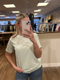 Saint tropez gestreept t-shirt groen met wit