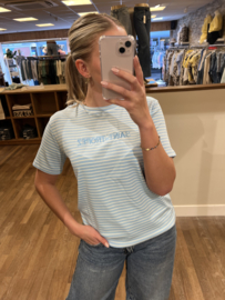 Saint tropez gestreept t-shirt blauw met wit
