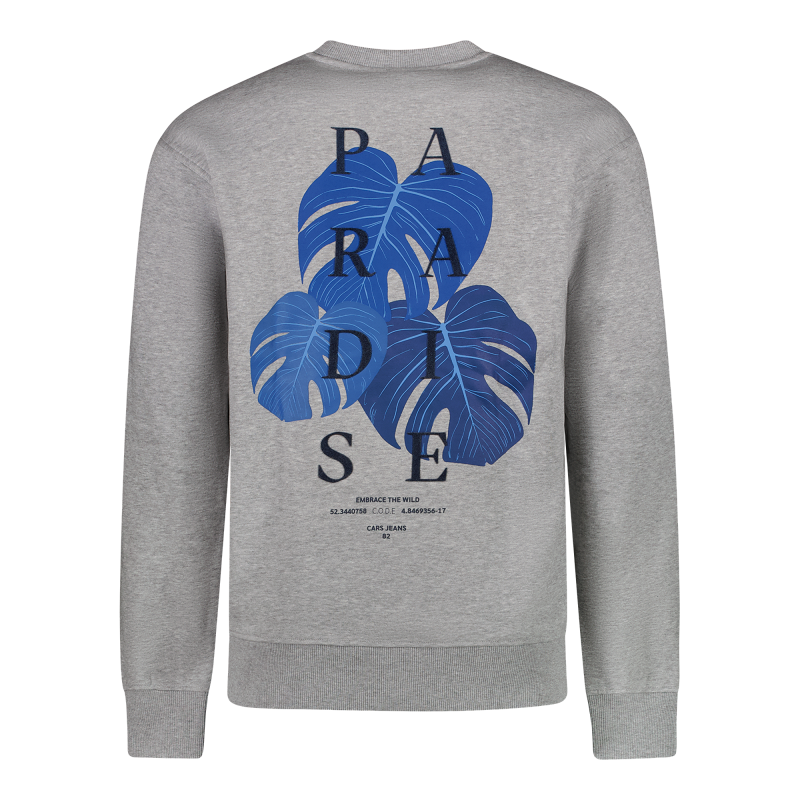 Cars sweater Diso jogging grijs met rugprint