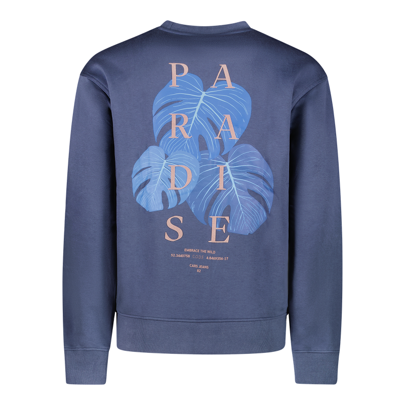 Cars sweater Diso met rug print donkerblauw