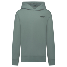 Cars hoodie Tylo Mossgreen