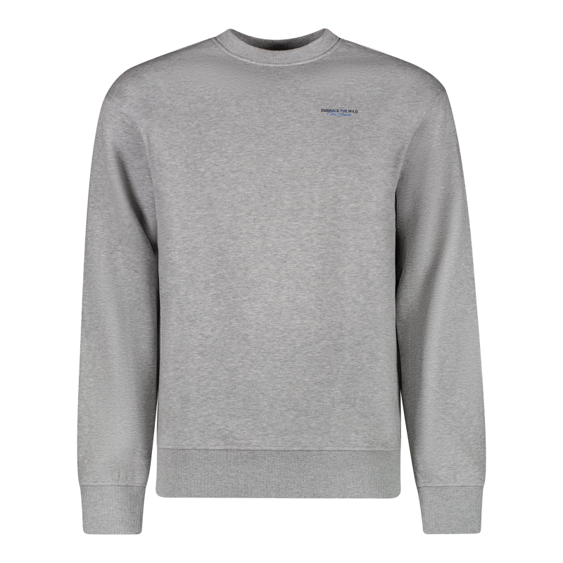 Cars sweater Diso jogging grijs met rugprint
