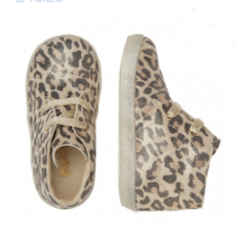 FALCOTTO | Veterschoenen Conte Leopard