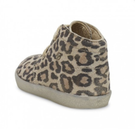 FALCOTTO | Veterschoenen Conte Leopard