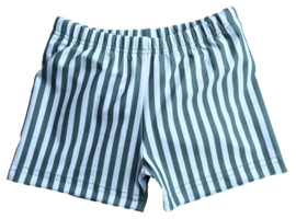 Slipstop Zwemluier | Green Bay Stripe