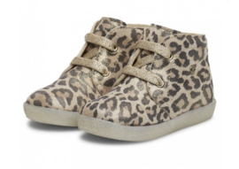 FALCOTTO | Veterschoenen Conte Leopard