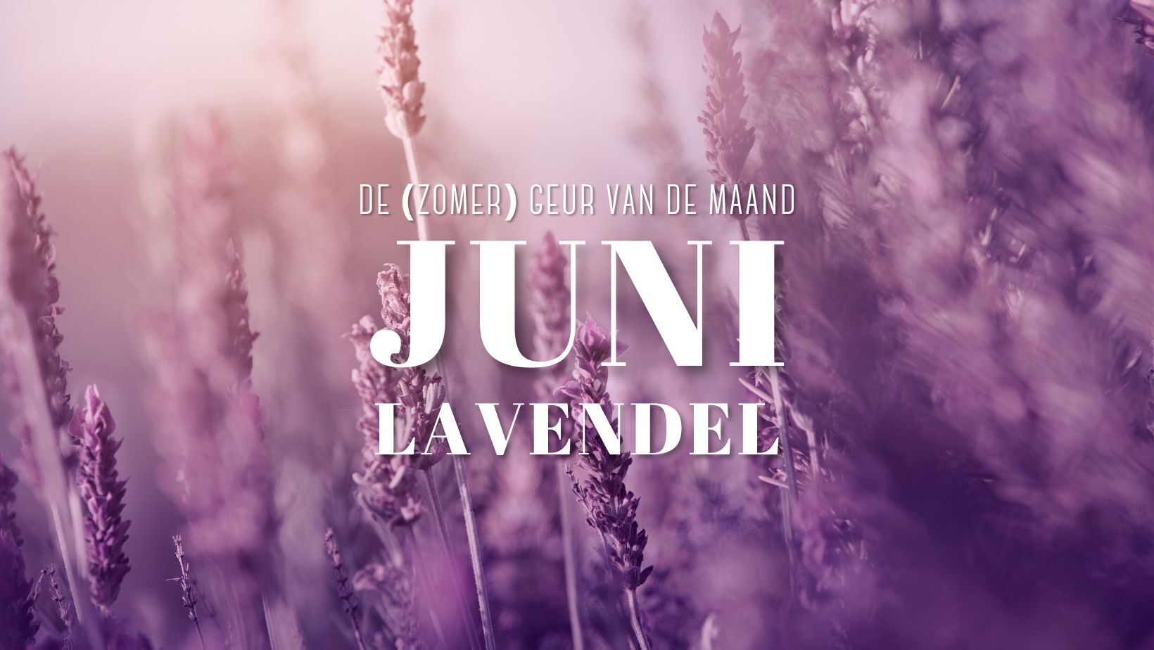 De geur van de maand: Juni 💜