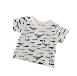 T-shirt walvis