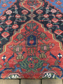 Bakhtiari 162 x 315 cm