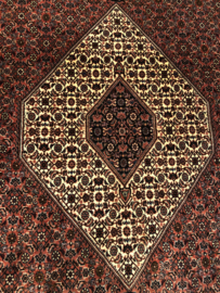 Bidjar 252x252 cm