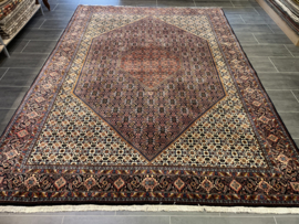Bidjar 250x350 cm
