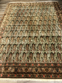 Senneh bidjar 345x255 cm