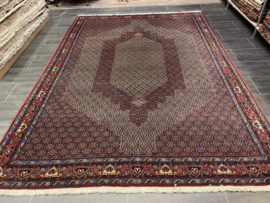 Bidjar Senneh 247x345 cm