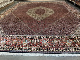 Bidjar 300x385 cm