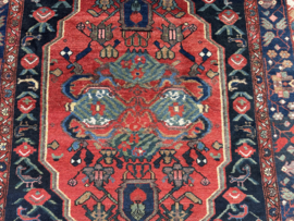 Bakhtiari 162 x 315 cm
