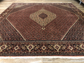 Bidjar 252x252 cm