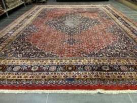 Bidjar 278x364 cm