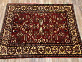 Kazak Shirvan Tapijt