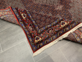 Bidjar Senneh 247x345 cm