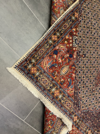 Moud met zijde 347x248 cm