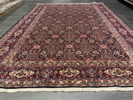 Afshar 237x 320 cm