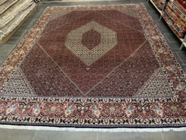 Bidjar 300x385 cm