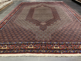 Bidjar Senneh 247x345 cm