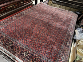 Bidjar 172x255 cm