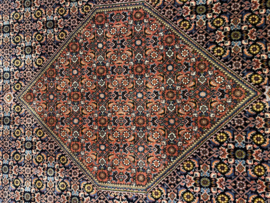 Bidjar 250x350 cm