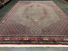 Bidjar Senneh 247x345 cm