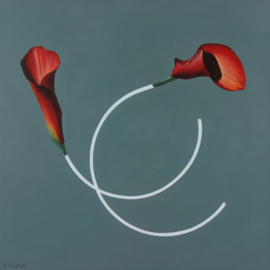 'Two arums' - P. Colstee