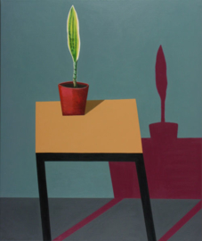 'Still life with sansevieria' - P. Colstee