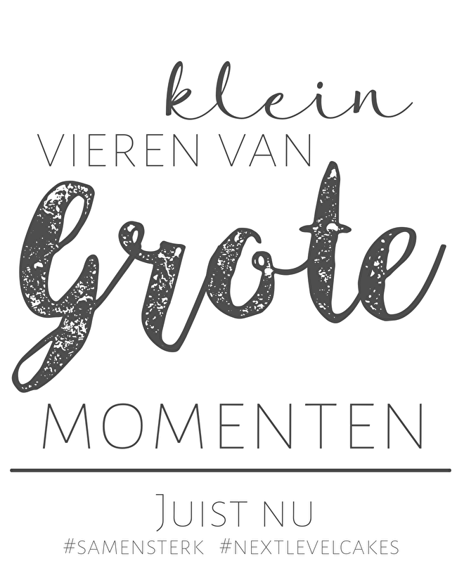 kleinvierenvangrotemomenten