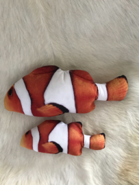 Catnip Vis NEMO klein