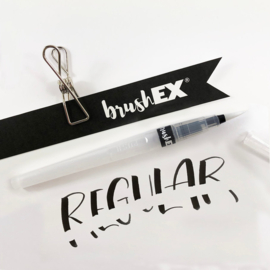 BrushEX extinguishing solution - Gumbrush - Regular
